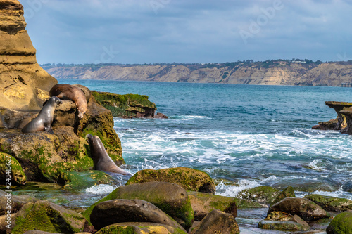 Bilde på lerret Beautiful Morning Hike in La Jolla, California