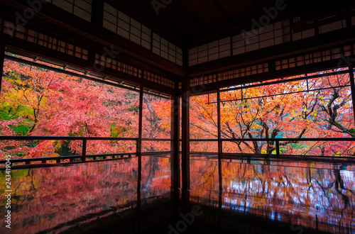 Autumn landscape seen from Ryokan Hotel, Kyoto, Japan