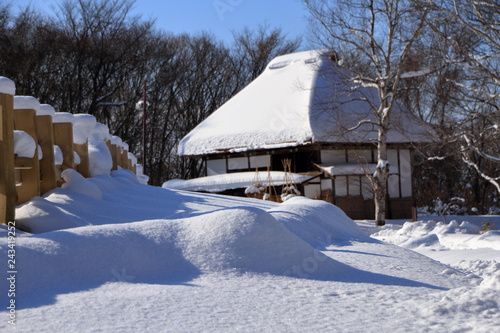 雪に覆われた茅葺屋根の家の風景 © tasch