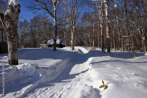雪に覆われた茅葺屋根の家の風景