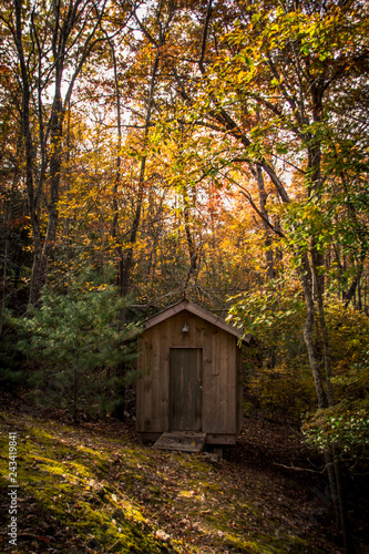 Cabin in the Autumn Forest