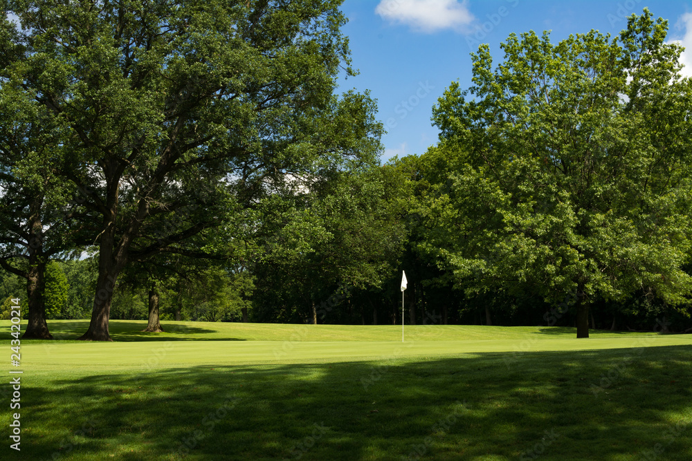 Fototapeta premium Sun lit putting green and white flag through the tree shadows.