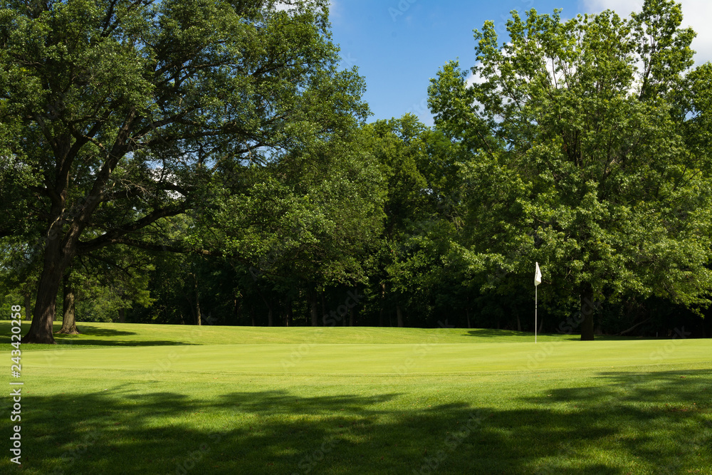 Fototapeta premium Sun lit putting green and white flag through the tree shadows.