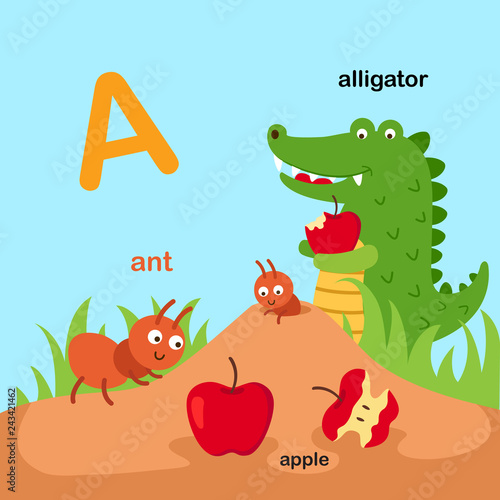 Illustration Isolated Animal Alphabet Letter A-ant apple alligator.vector