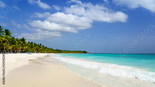 Palms coastline on caribbean beach, Island Saona