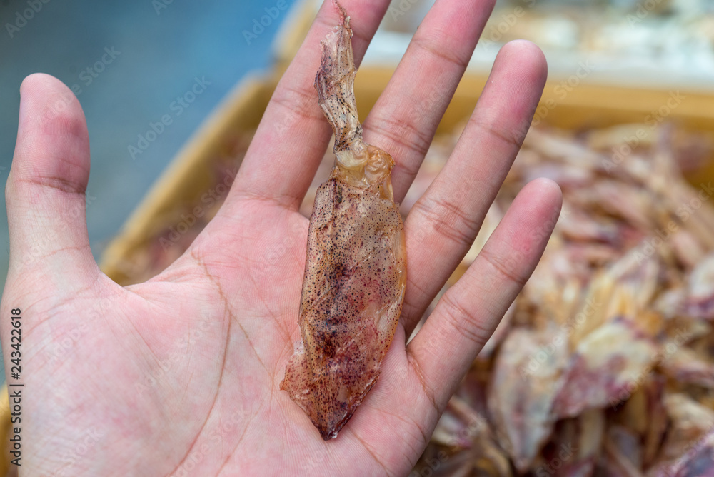 hand hold Dry squid close up hand hold Dry squid close up