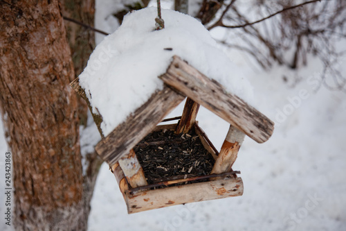 bird feeder in winter © Elena 