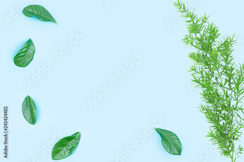 Green leaf for frame on blue background.