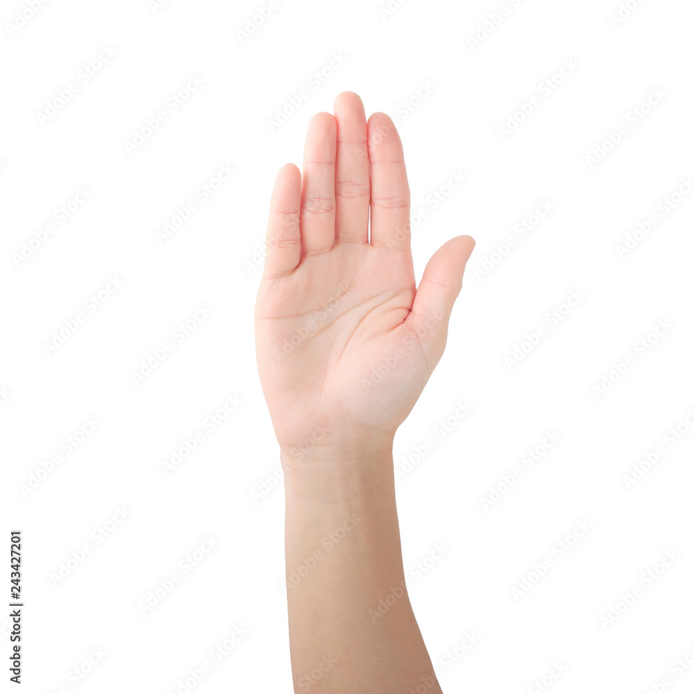 Hands showing signs of counting with fingers. with clipping path. Hands showing signs of counting with fingers. with clipping path.