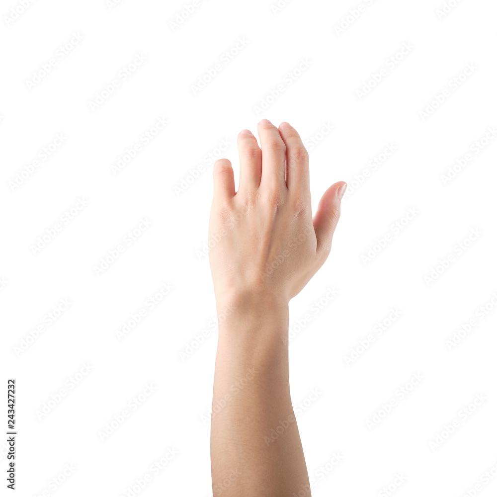 Raising Hands for Participation on white background. clipping path. Raising Hands for Participation on white background. clipping path.