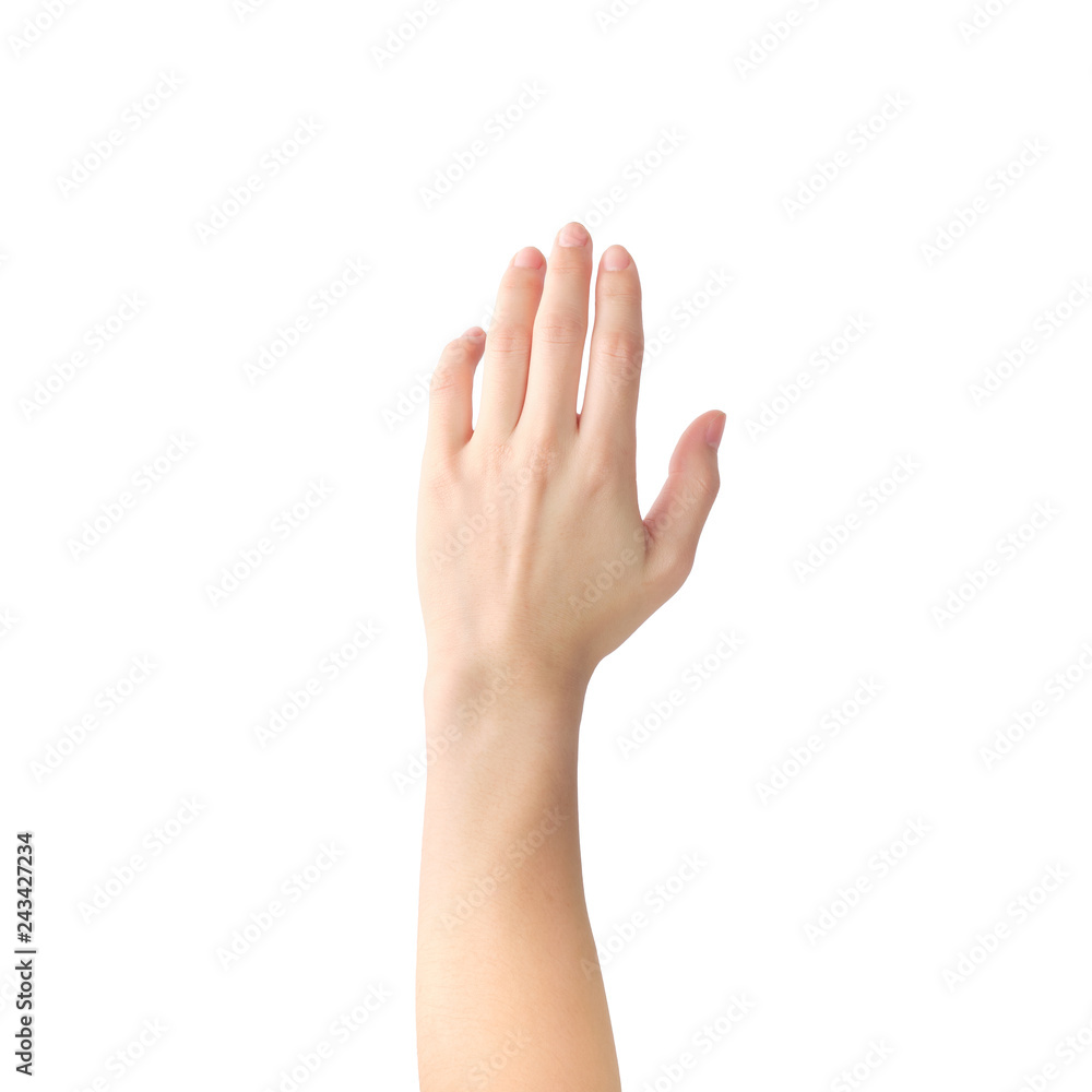 Raising Hands for Participation on white background. clipping path. Raising Hands for Participation on white background. clipping path.