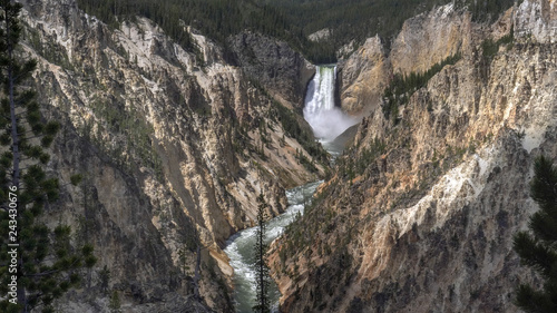 wide shot of high water flow over yellowstone falls from artist point in yellowstone national park in the united states © chris