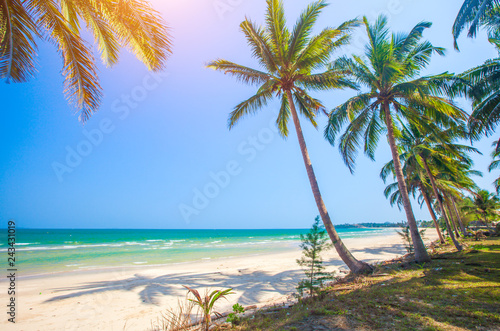 Fototapeta Naklejka Na Ścianę i Meble -  beach and coconut plm tree