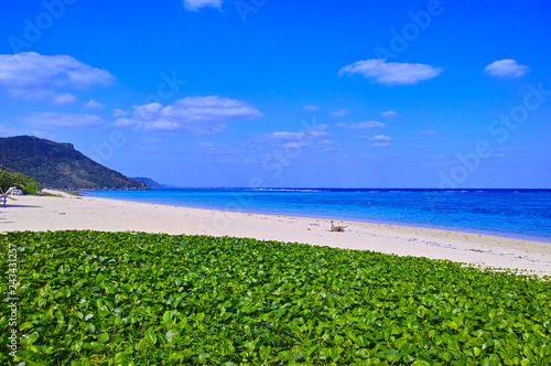 宮古島東海岸。新城海岸の風景