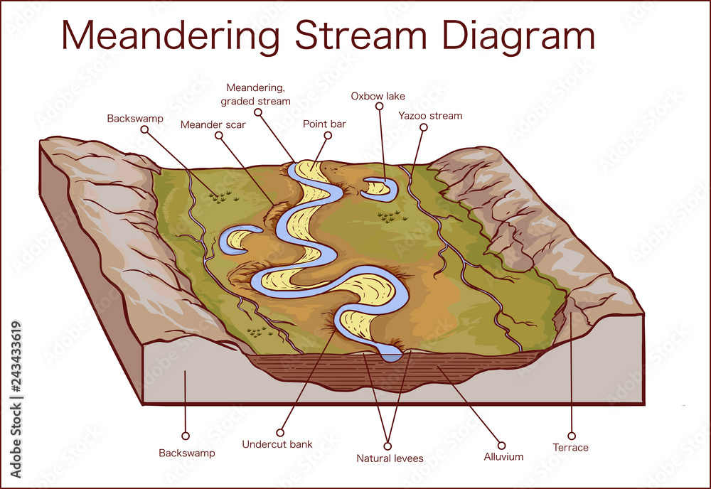 Vector illustration of a Meandering Stream Stock Vector Adobe Stock