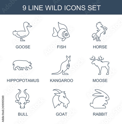 9 wild icons