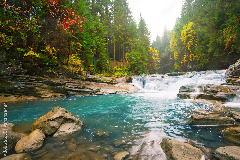 Waterfall on mountain river in the forest - obrazy, fototapety, plakaty 