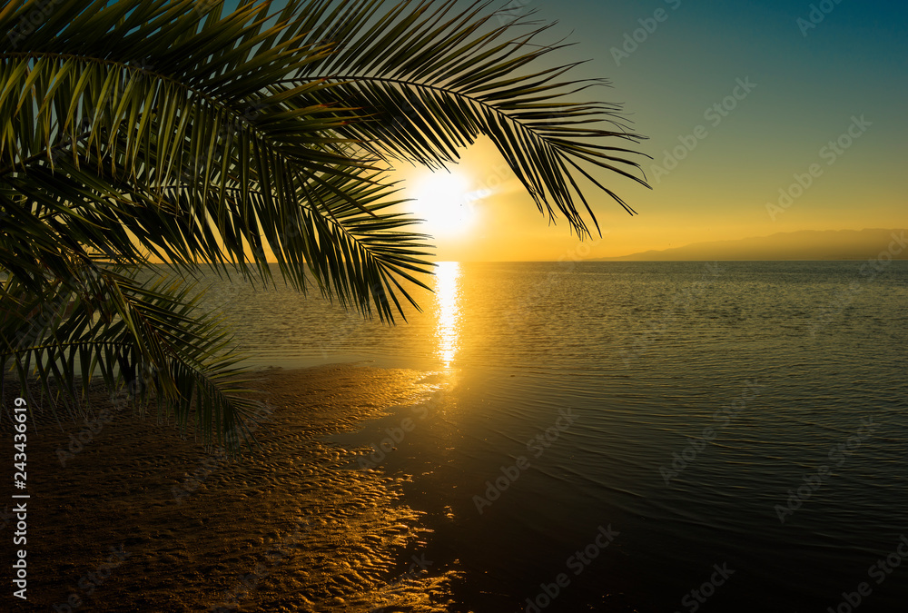 Sunset on the beach behind palm leaves