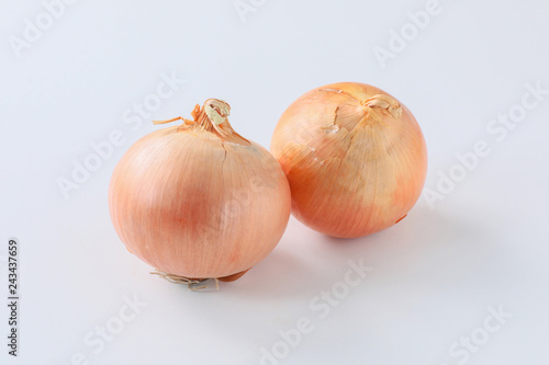 【切抜パス付】玉ねぎ