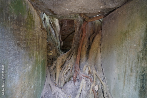 Kampong Thom, Cambodia-January 12, 2019: Interior of Prasat Chrey or N18 in Sambor Prei Kuk in Cambodia photo