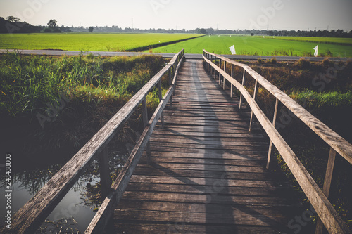 old wooden bridge to agriculture rice field, natural  background © Parichart