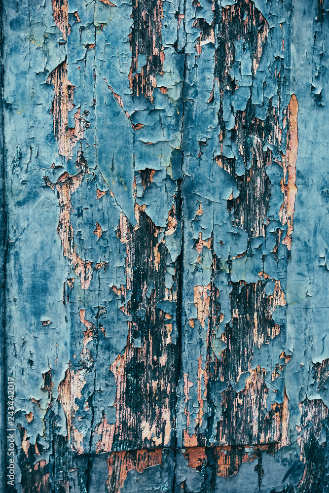 wood grungy background with space for your design wood grungy background with space for your design