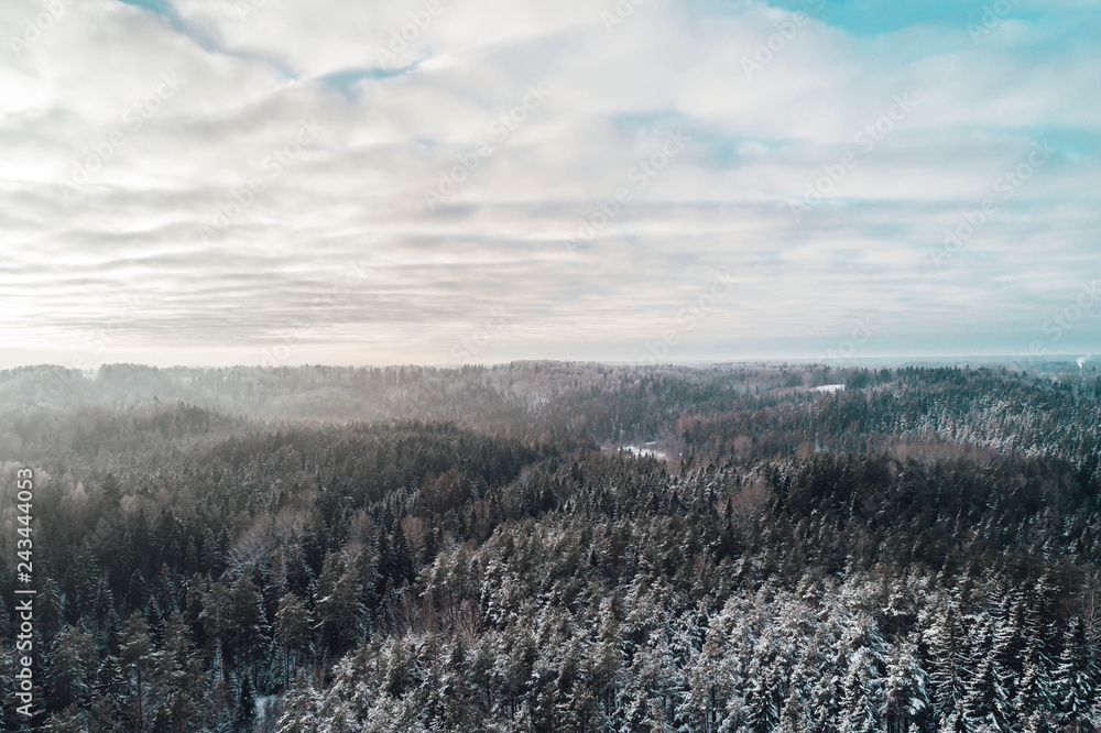 Aerial view on forest in winter time. Forest road covered in snow. Winter in Europe Aerial view on forest in winter time. Forest road covered in snow. Winter in Europe