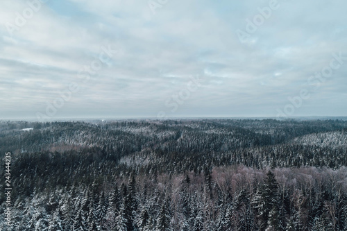 Aerial view on forest in winter time. Forest road covered in snow. Winter in Europe