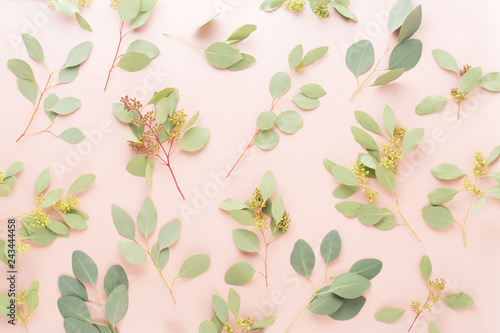 Flowers and eucaaliptus composition. Pattern made of various colorful flowers on white background. Flat lay stiil life.