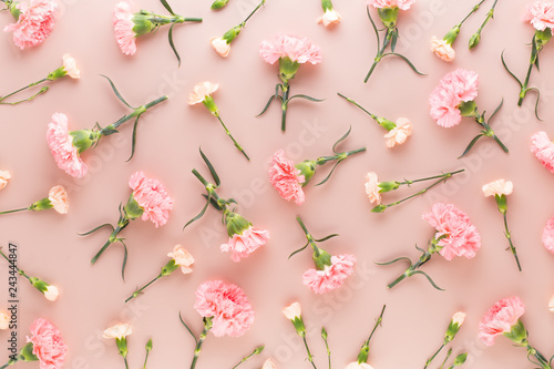 Pink carnation flowers on pastel background. Flat lay, top view, copy space.