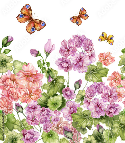 Beautiful floral background with pelargonium flowers and butterflies on white...