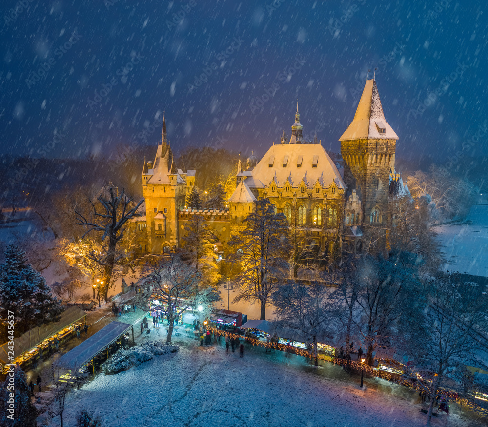 Obraz premium Budapest, Hungary - Christmas market in snowy City Park (Varosliget) from above at night with snowy trees and Vajdahunyad castle