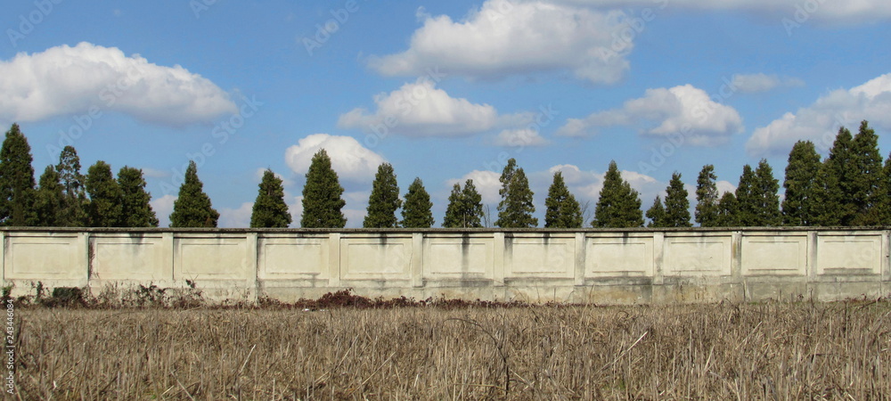 Fototapeta premium Campo da coltivare in Primavera