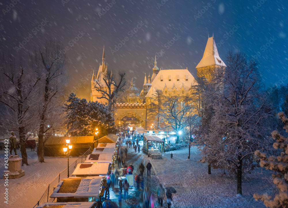 Fototapeta premium Budapest, Hungary - Christmas market in snowy City Park (Varosliget) from above at night with snowy trees and Vajdahunyad castle at background