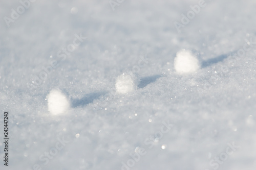 snowballs in the snow