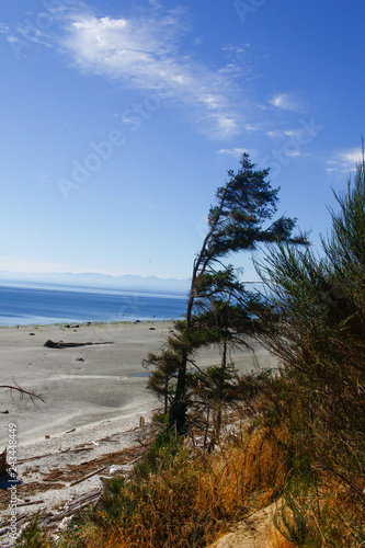 savary island shore