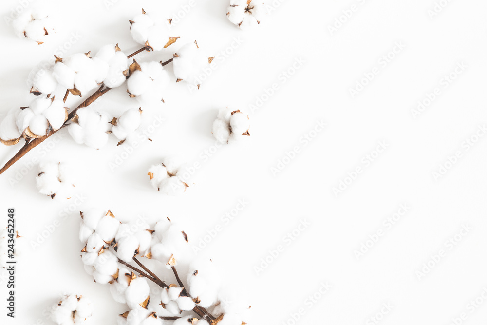 Flowers composition. Cotton flowers on white background. Flat lay, top view, copy space - obrazy, fototapety, plakaty 