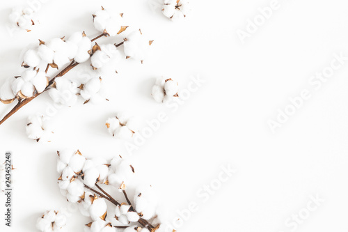 Flowers composition. Cotton flowers on white background. Flat lay, top view, copy space
