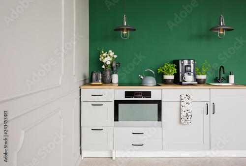 Empty green wall with copy space in elegant kitchen with white furniture,plants and coffee machine
