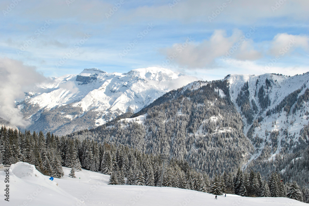 Winter forest in the Alps in France Winter forest in the Alps in France