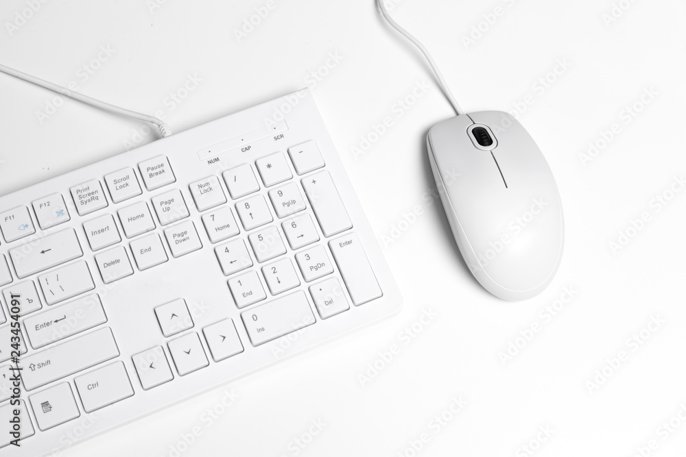 Computer mouse and keyboard