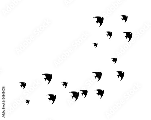 set of abstract fish background template vector