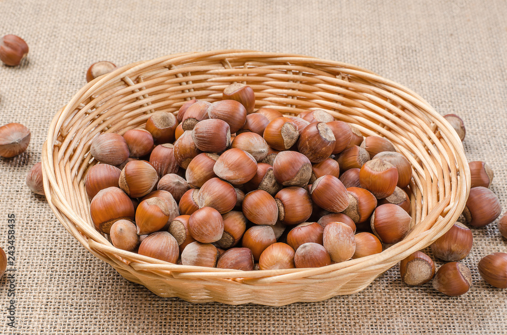 Hazelnut in peel on a light burlap. Hazelnut in peel on a light burlap.