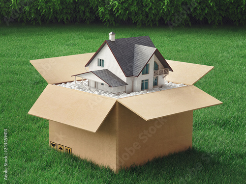New house, illustration con...