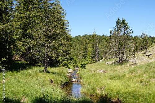 Lacet d'eau dans la verdure montagneuse photo