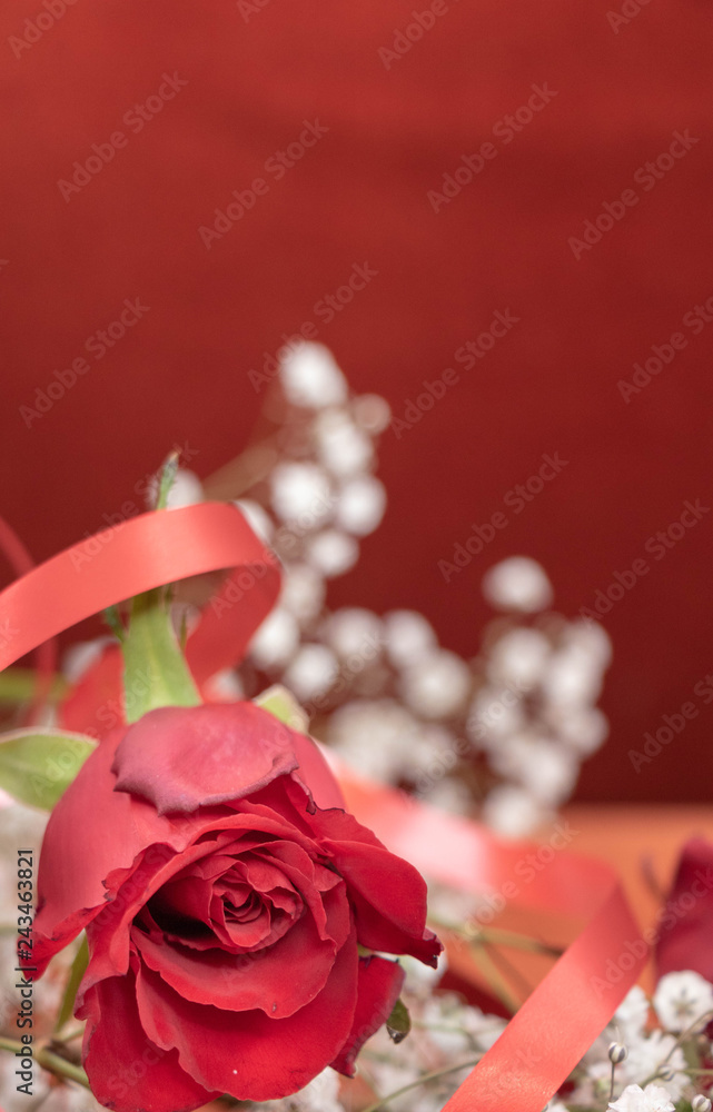 Foto de Ressource graphique passion rose rouge, fleurs blanches de gypsophile  et ruban rouge pour cadeau do Stock | Adobe Stock