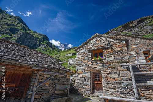 A group of huts on a mountain pasture nestling in a valley on the slopes of Monte Rosa in Piedmont, Italy.