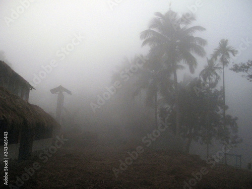 Misty morning in the Bengal countryside in Sundarbans jungle area, West Bengal, India © zatletic