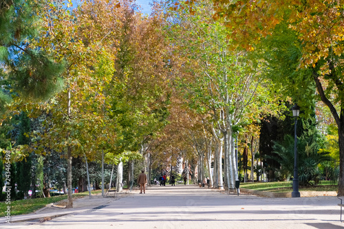 スペイン マドリード 秋の公園 カサ・デ・カンポ