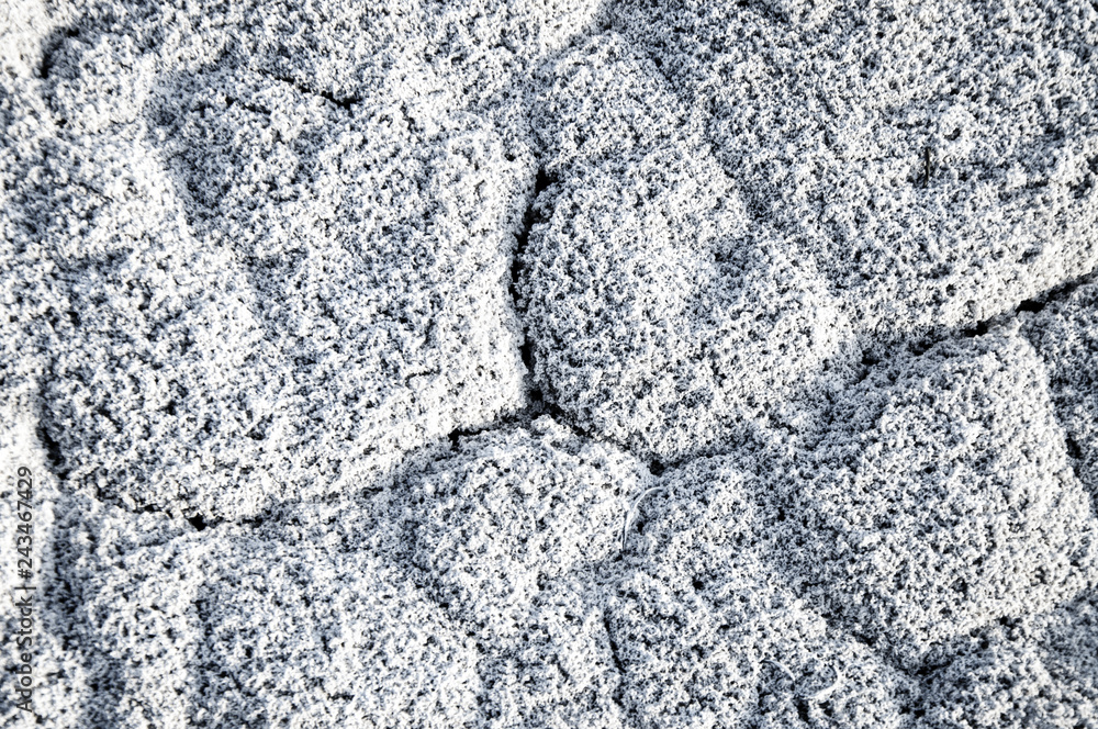 Fototapeta premium Soil salinity and cracks 